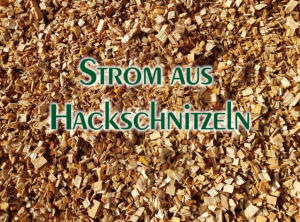 Mit den erzeugten Hackschnitzeln betreiben wir 2 Holzgas BHKW mit jeweils 45kw/h el. Leistung